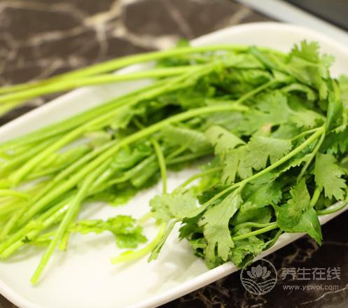 香菜是個寶，健胃消食營養豐富，可惜很多人不愛吃