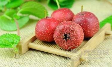 一直消化不良吃什么好呢