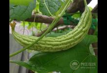 這些秘訣能讓體內毒素排干凈!