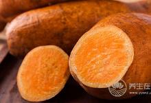 霧霾真會(huì)讓人胖？胖子怎么逆襲