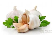 每次做菜放蒜米,相當于每一餐都在吃“神藥”