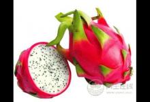 降壓食物有哪些?