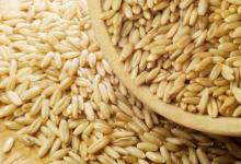 4種“換血食物”，每天吃一吃，血液越來越干凈