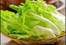 常吃生菜,對身體有這些好處,你知道嗎?