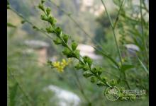 癌癥治療后，5種食物多吃可防復發