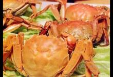 吃螃蟹的注意事項有哪些？