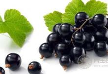 養胃水果有哪些？