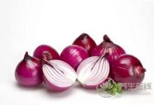 洋蔥發芽了還能吃嗎？吃洋蔥的好處