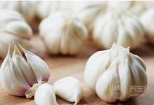 免疫力低下?多吃這4種食物,有助于提高免疫力