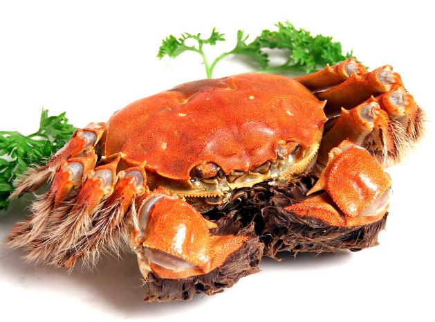 大閘蟹寒涼怎么吃可以中和掉寒涼 大閘蟹寒涼怎么吃可以中和掉寒涼