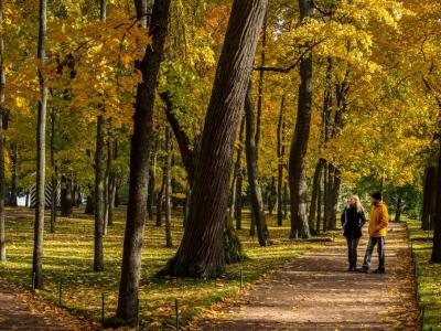 怎么運動才能增加骨密度？4個散步技巧搭配氨糖能護骨！