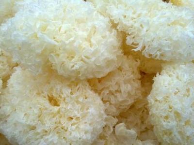 銀耳的幾種家常做法銀耳如何涼拌菜