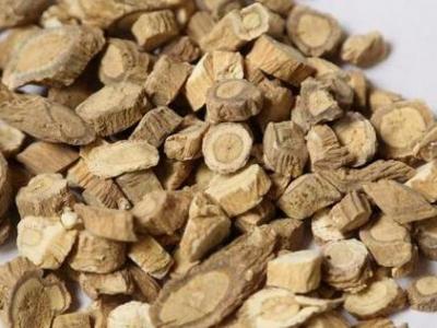 感冒咳嗽時吃板藍根有什么樣的效果