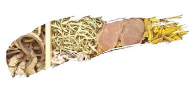 伏天來了 看中醫(yī)談養(yǎng)生