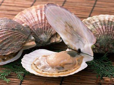 扇貝的營養(yǎng)價值清蒸扇貝粉絲的做法