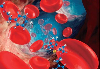 血小板的指標高是白血病的征兆嗎-易網健康<a href=http://m.logojc.com/jkys/ target=_blank class=infotextkey>養生</a>網 血小板的指標高是白血病的征兆嗎