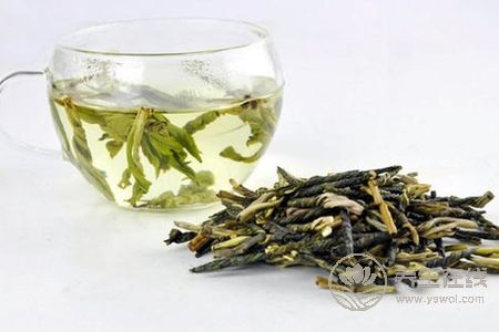 喝苦丁茶有什么好處?苦丁茶功效是什么?