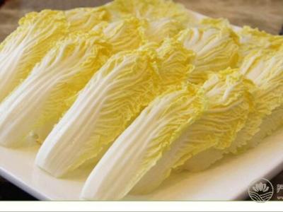 娃娃菜的營養價值及其做法