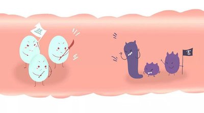 益生菌需要堅持吃多長時間會有效果-易網健康<a href=http://m.logojc.com/jkys/ target=_blank class=infotextkey>養生</a>網 益生菌需要堅持吃多長時間會有效果