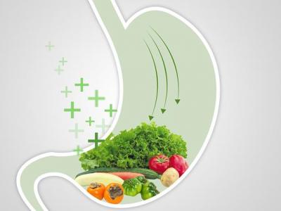 腸胃毒素多導致的肚子大應該怎樣排毒養顏