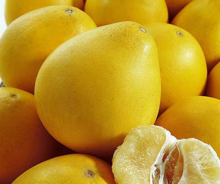 冬季到了柚子十分受到歡迎那么如何挑選柚子-易網健康<a href=http://m.logojc.com/jkys/ target=_blank class=infotextkey>養生</a>網 冬季到了柚子十分受到歡迎那么如何挑選柚子