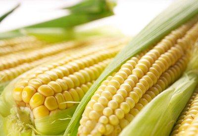 生玉米粒的做法大全玉米粒可以怎么做