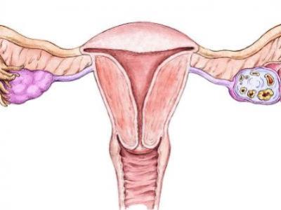 女性想要保持年輕那么卵巢一定要保護好