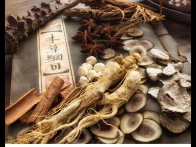 在月經期間補充吃人參可以嗎