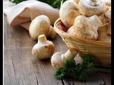 女性懷孕后孕晚期需要補(bǔ)充哪些營養(yǎng)