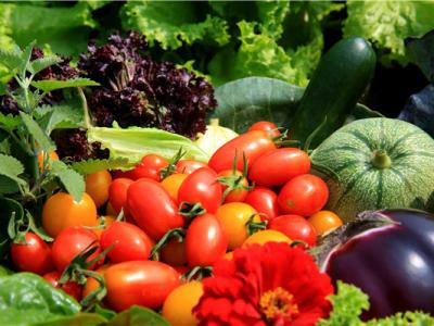 番茄的作用和益處