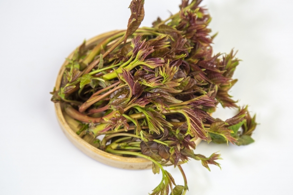 香椿的營養價值和功效 香椿的美味吃法-易網健康<a href=http://m.logojc.com/jkys/ target=_blank class=infotextkey>養生</a>網 香椿的營養價值和功效 香椿的美味吃法