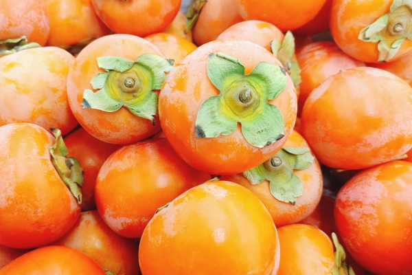 橘子和柿子可以一起吃嗎 什么不能和柿子一起吃-易網(wǎng)健康<a href=http://m.logojc.com/jkys/ target=_blank class=infotextkey>養(yǎng)生</a>網(wǎng) 橘子和柿子可以一起吃嗎 什么不能和柿子一起吃