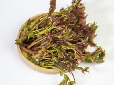 香椿的營養(yǎng)價(jià)值和功效 香椿的美味吃法