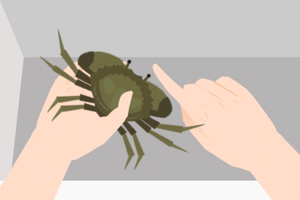 冰凍梭子蟹直接煮還是解凍后再煮 冷凍梭子蟹的快速解凍方法