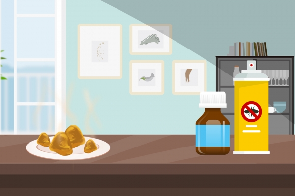 夏天床上如何除蟲效果好 夏天床上除蟲效果好的方法-易網<a href=http://m.logojc.com/ target=_blank class=infotextkey>健康養生</a>網 夏天床上如何除蟲效果好 夏天床上除蟲效果好的方法