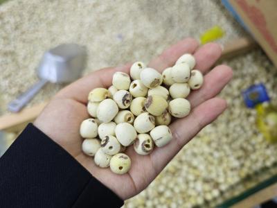 補(bǔ)脾的食物有哪些 補(bǔ)脾的食療有哪些