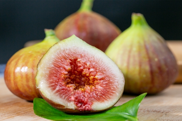 無花果濕氣重可以吃嗎 濕疹可以吃無花果嗎-易網健康<a href=http://m.logojc.com/jkys/ target=_blank class=infotextkey>養生</a>網 無花果濕氣重可以吃嗎 濕疹可以吃無花果嗎