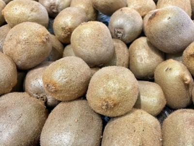 獼猴桃可以放在冰箱保鮮嗎 獼猴桃是冷藏還是常溫