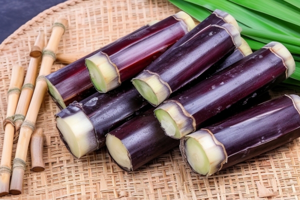 甘蔗的功效與作用、禁忌和食用方法