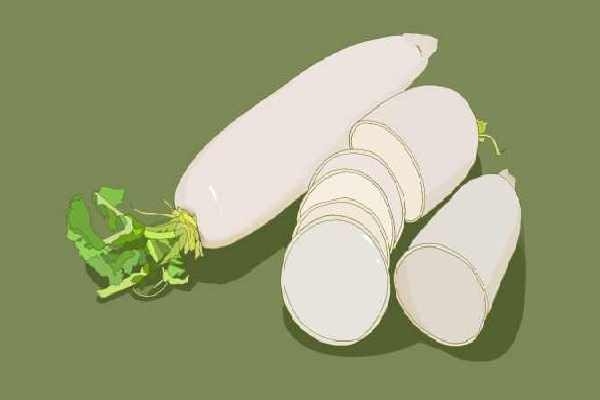 白蘿卜是排氣還是脹氣-易網健康<a href=http://m.logojc.com/jkys/ target=_blank class=infotextkey>養生</a>網 白蘿卜是排氣還是脹氣