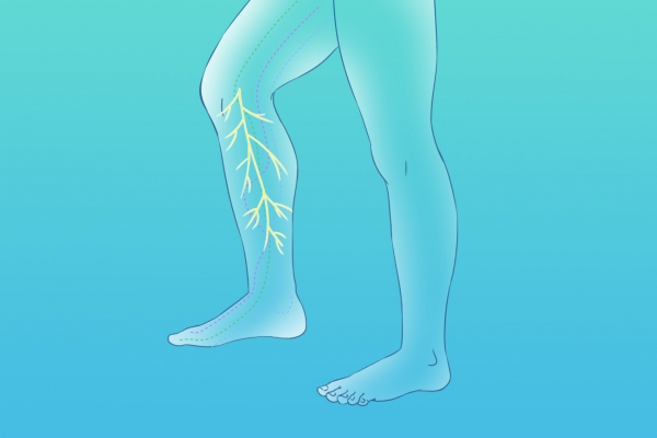 經常腳麻-易網健康<a href=http://m.logojc.com/jkys/ target=_blank class=infotextkey>養生</a>網 經常腳麻