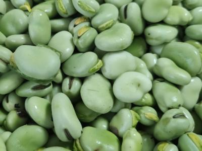 干蠶豆的功效與作用、禁忌和食用方法