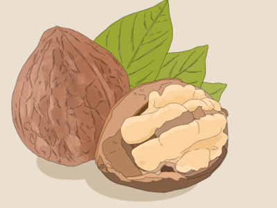 核桃露的功效與作用、禁忌和食用方法