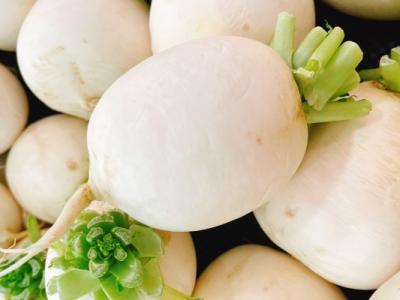 白蘿卜的功效與作用、禁忌和食用方法