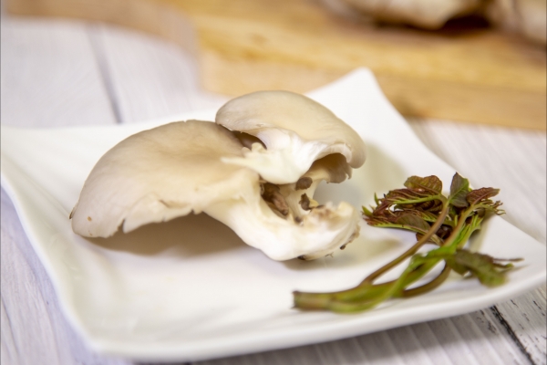 菌菇的功效與作用、禁忌和食用方法-易網健康養生網 菌菇的功效與作用、禁忌和食用方法