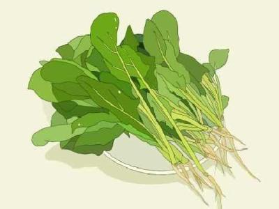 菠菜羊肉能一起吃嗎