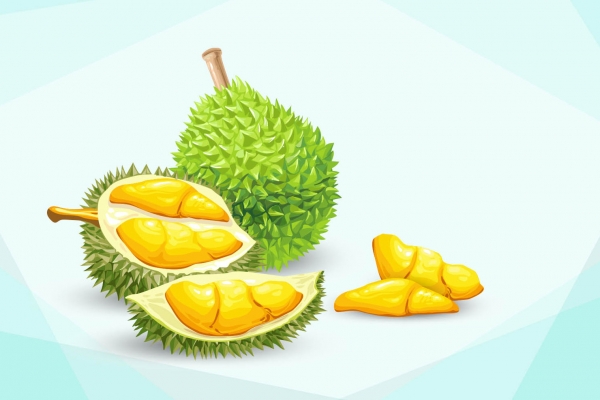 榴蓮和羊肉可以一起吃嗎-易網(wǎng)<a href=http://m.logojc.com/ target=_blank class=infotextkey>健康養(yǎng)生</a>網(wǎng) 榴蓮和羊肉可以一起吃嗎