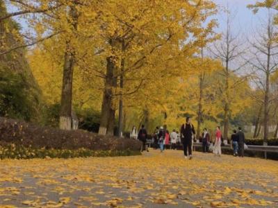 白露節(jié)氣物候有哪些特點 白露節(jié)氣的物候特點