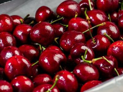 車?yán)遄尤绾螏椭{(diào)節(jié)血糖