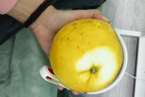 吃葡萄柚的禁忌有哪些-易網(wǎng)健康養(yǎng)生網(wǎng) 吃葡萄柚的禁忌有哪些